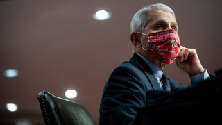 Fauci Calls Pandemic a 'Worst Nightmare' Scenario, So Remind Me Again Why States Are Reopening?